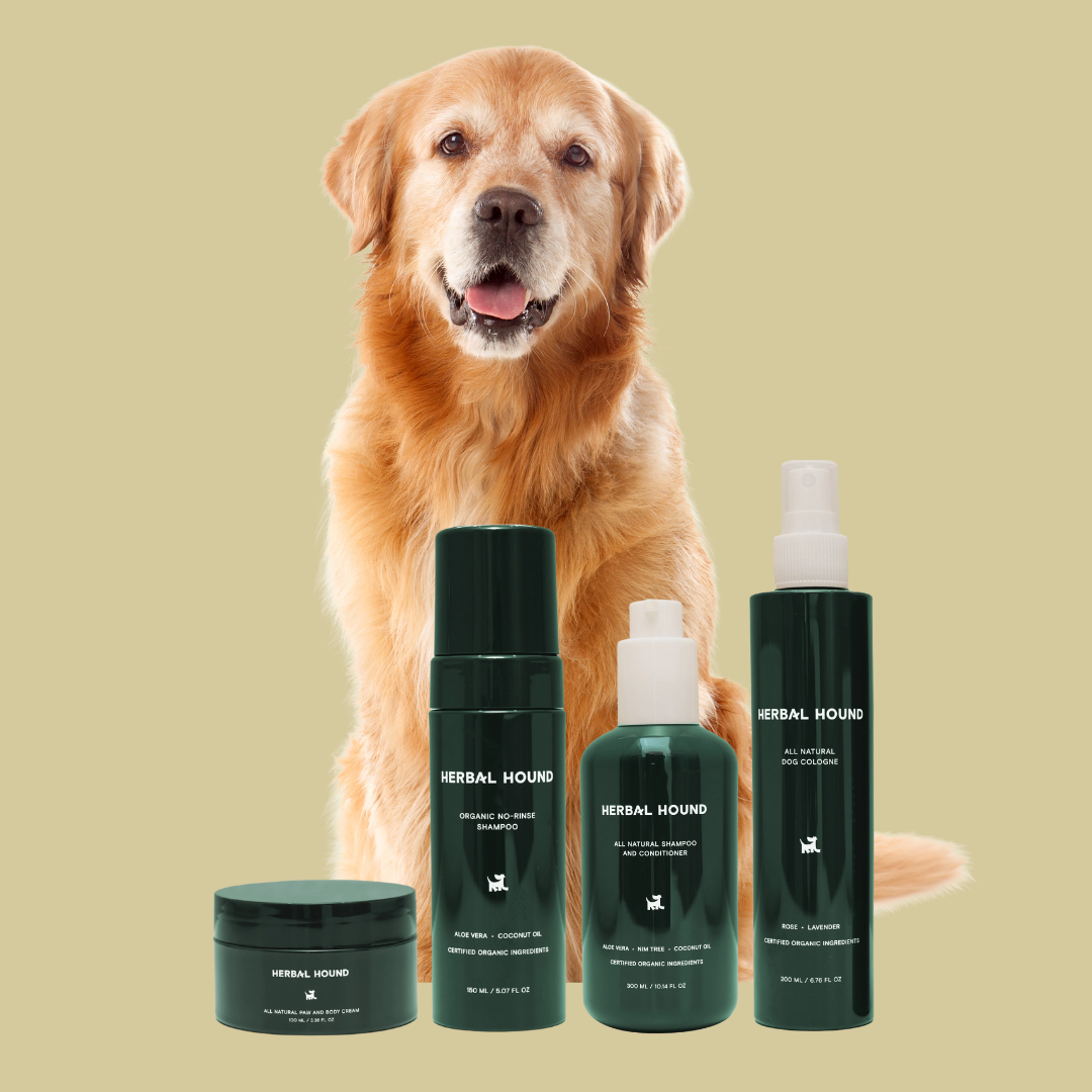 Complete Care 4-Pack