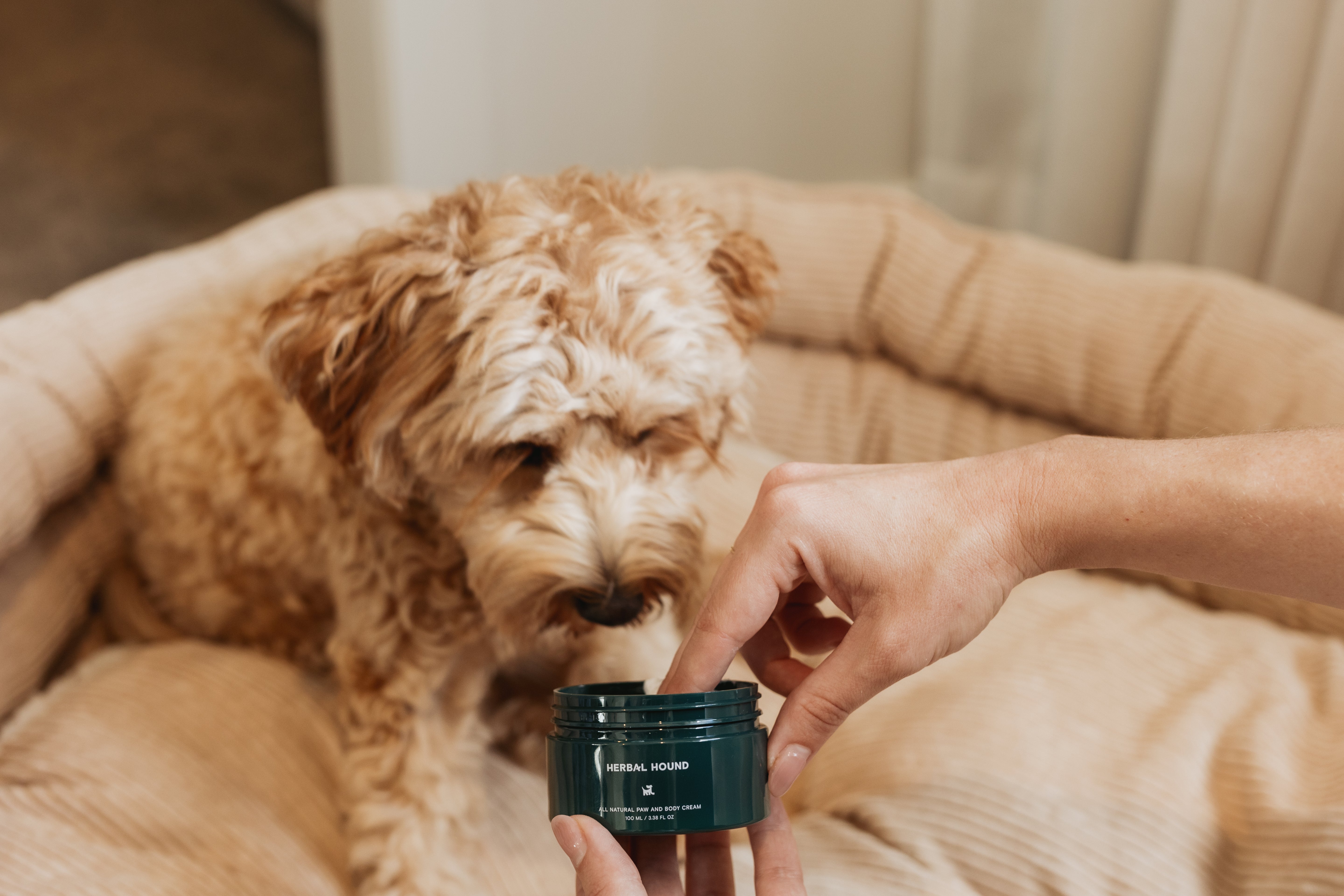 All Natural Paw & Body Cream