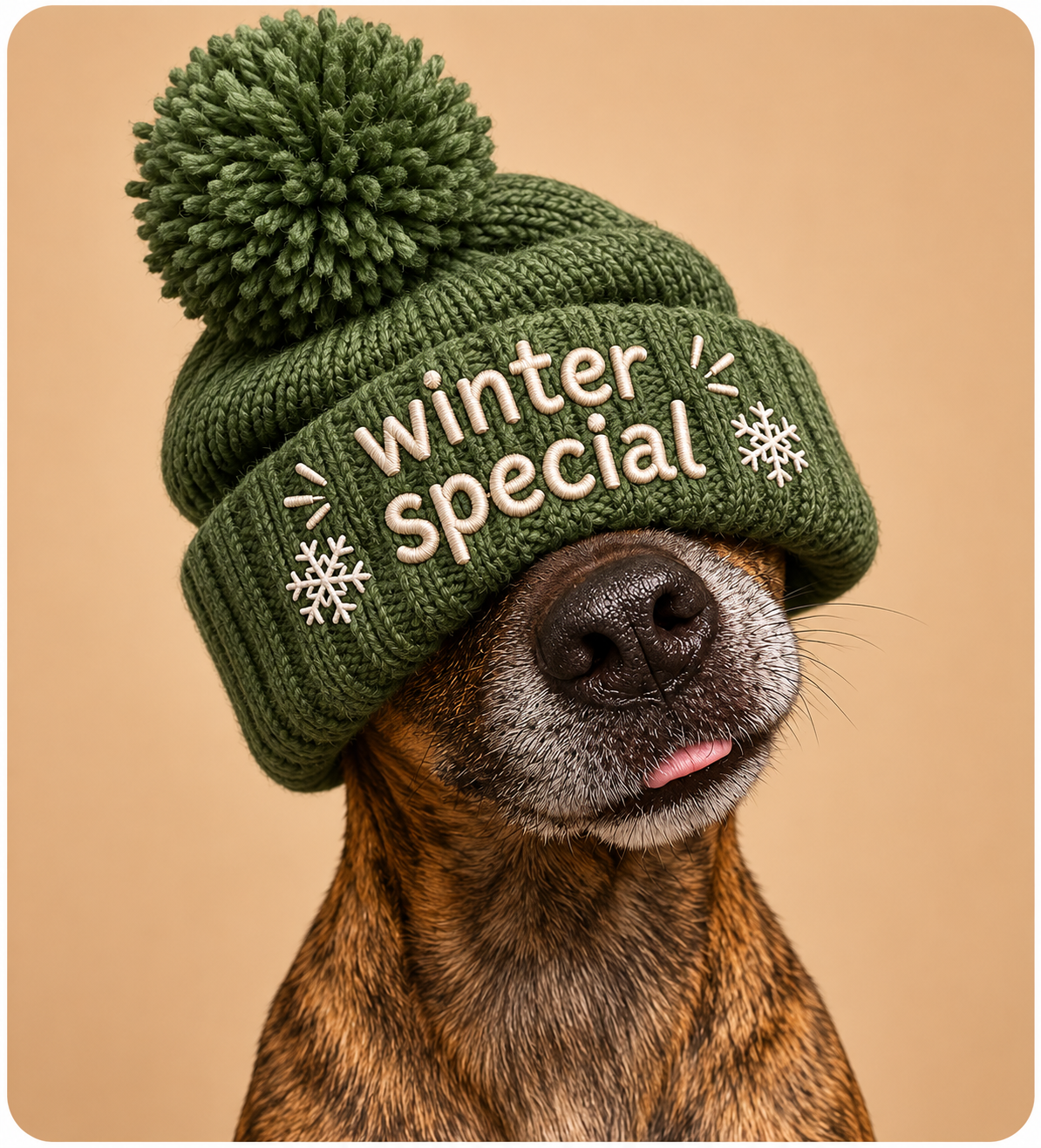 Winter Collection