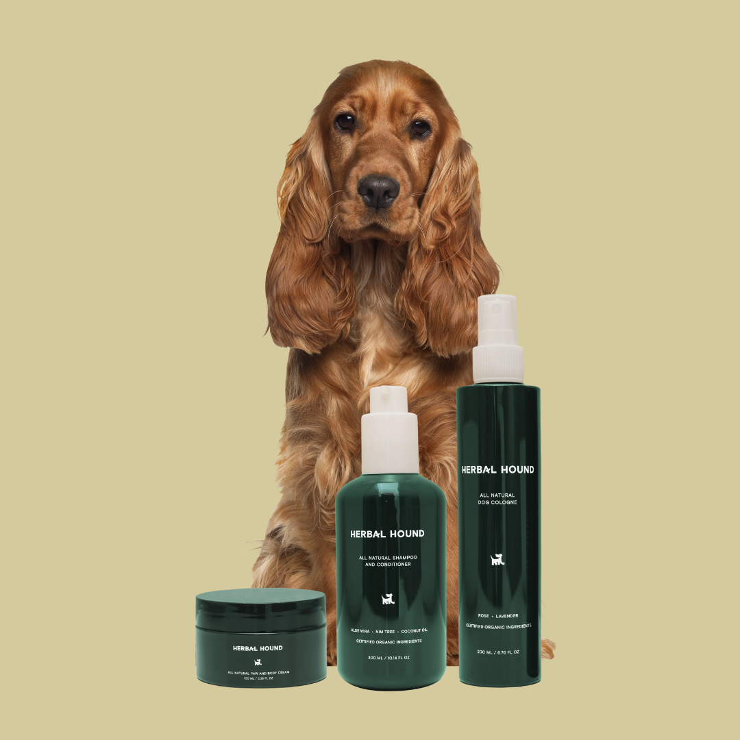 Bath Time Bundle