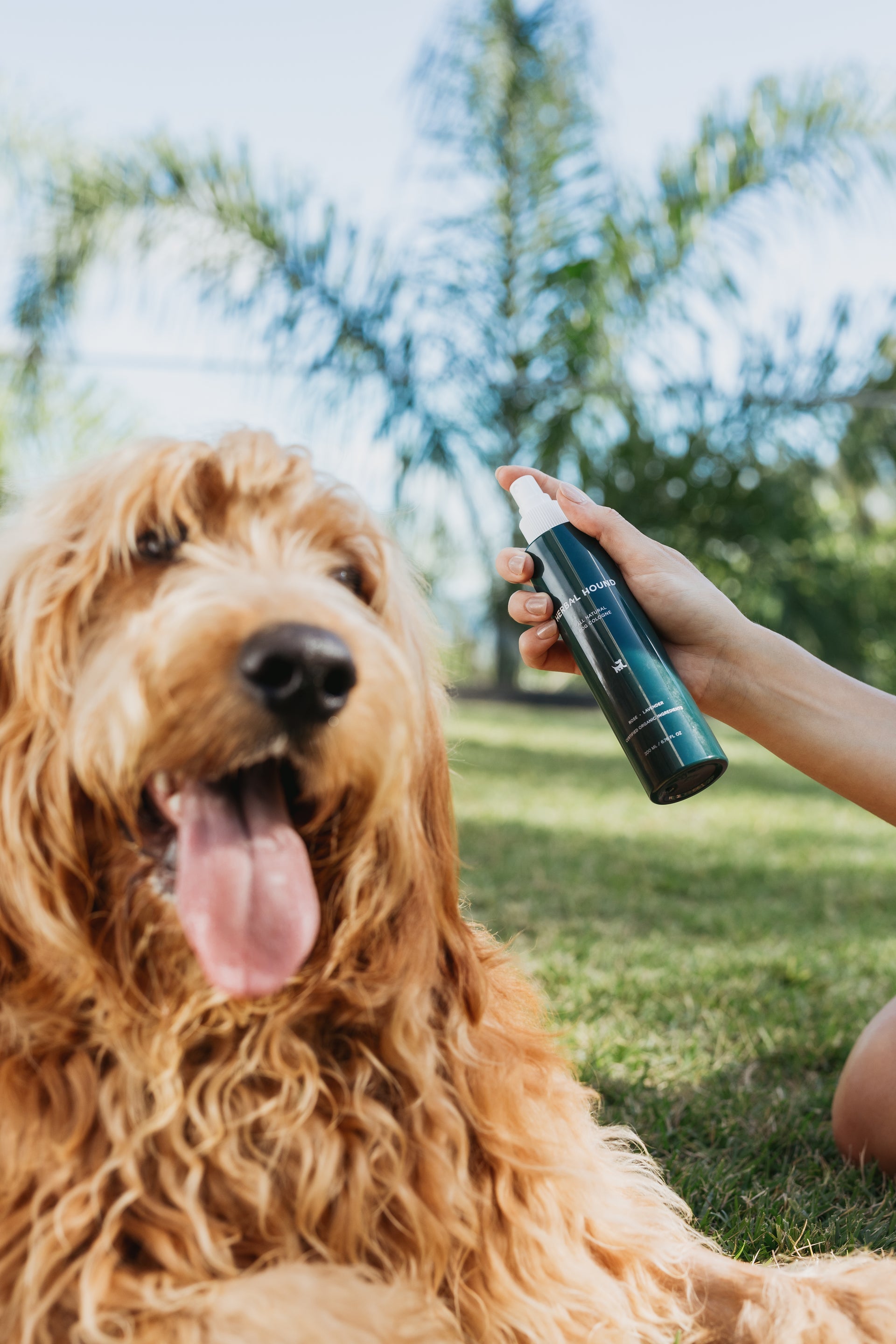 All Natural Dog Cologne