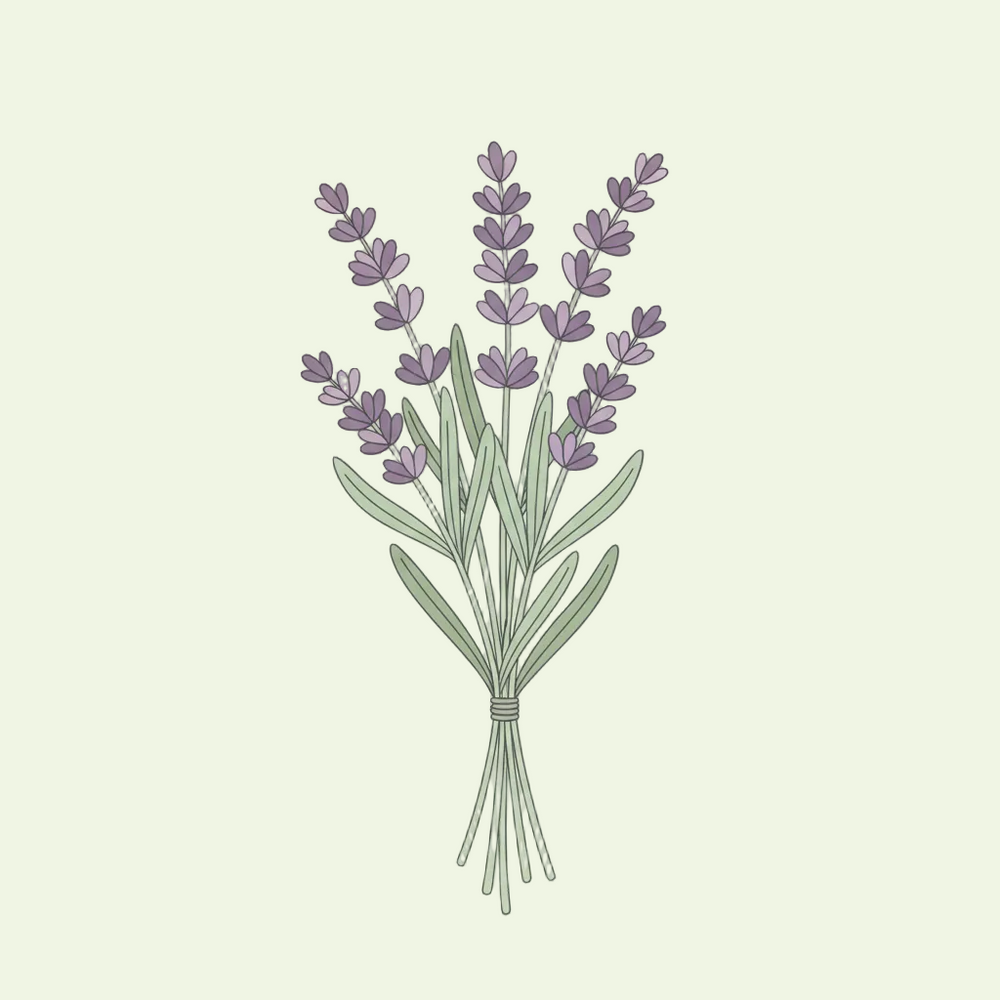 Lavender